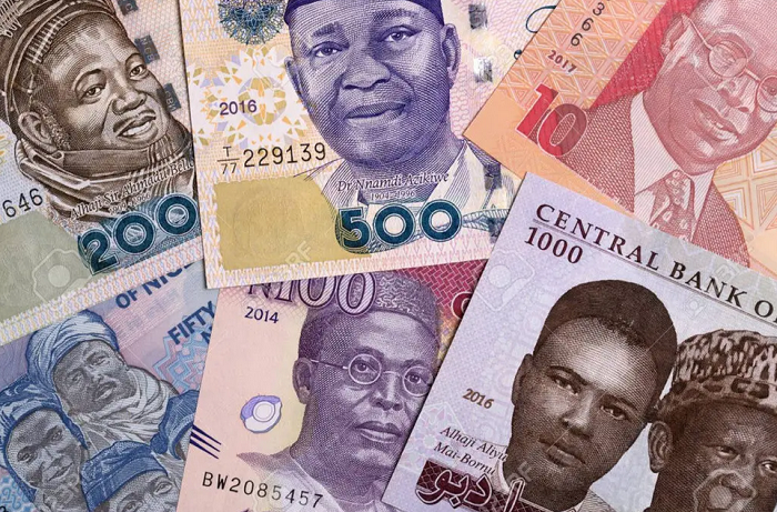 Need For Nigeria To Introduce New Currency