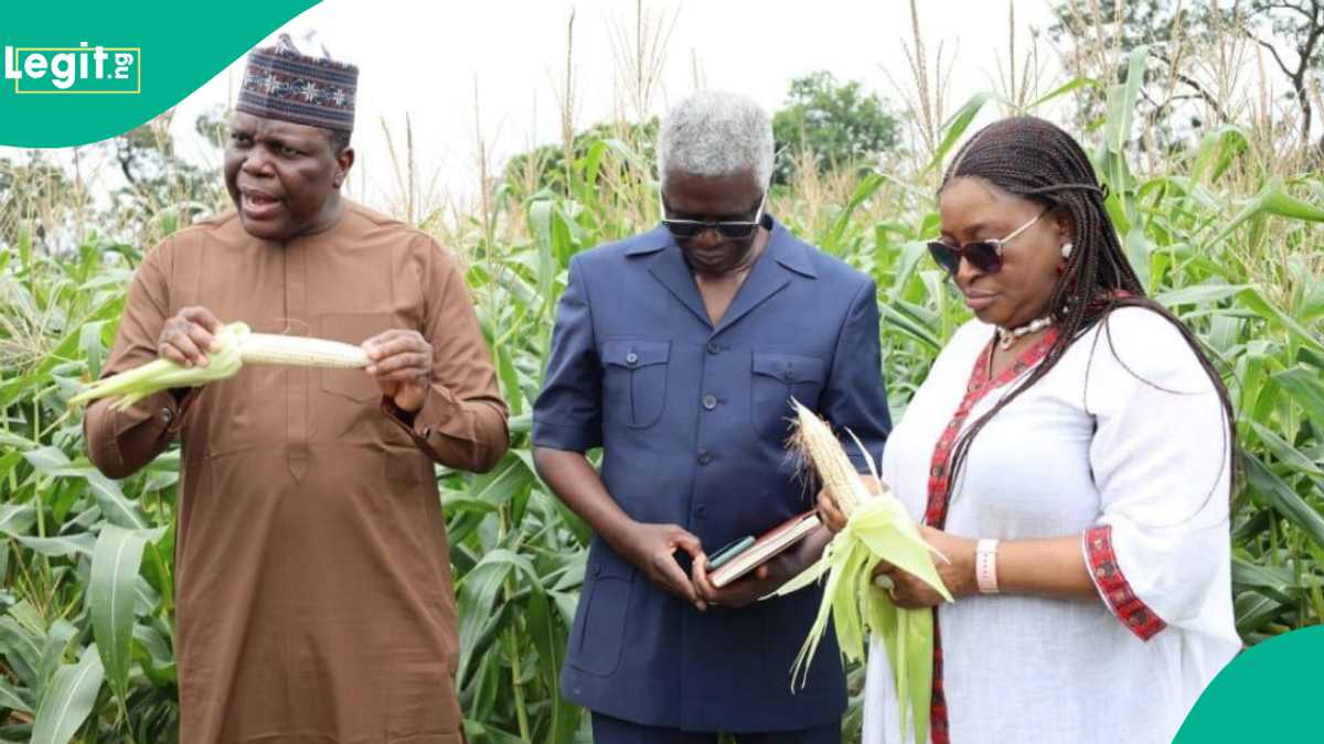 Nigeria Inspiring Other African Countries Using Biotechnology to Solve Food Security Issues - Expert