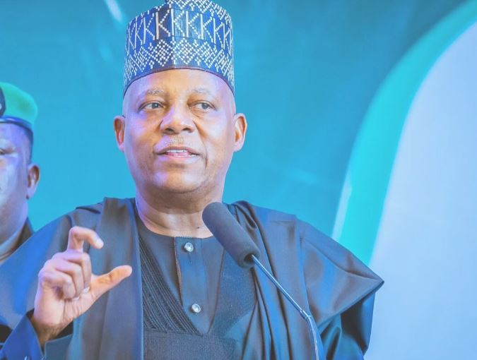 Nigeria economy to rebounce in months – Shettima