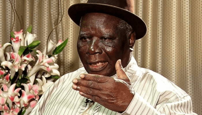 No basis for scrapping Niger Delta ministry - Edwin Clark kicks