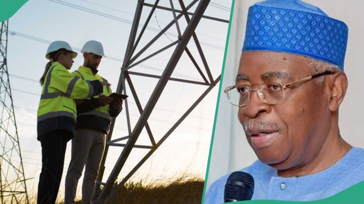 Not Otedola: FG Grants Permission for Nigerian Billionaire to Take Over Power Station in Nigeria