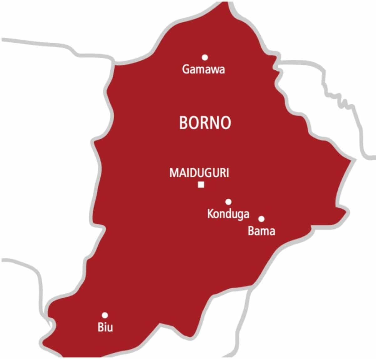 Only 6 Repentant Terrorists Escaped, Not 13, Borno Gov't Admits