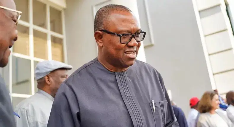 Poor Results: Peter Obi Will Not Save You In 2027 - Onuoha To LP Lawmakers