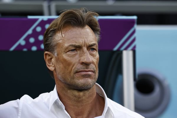 Renard Confirms Turning Down Super Eagles Coaching Job