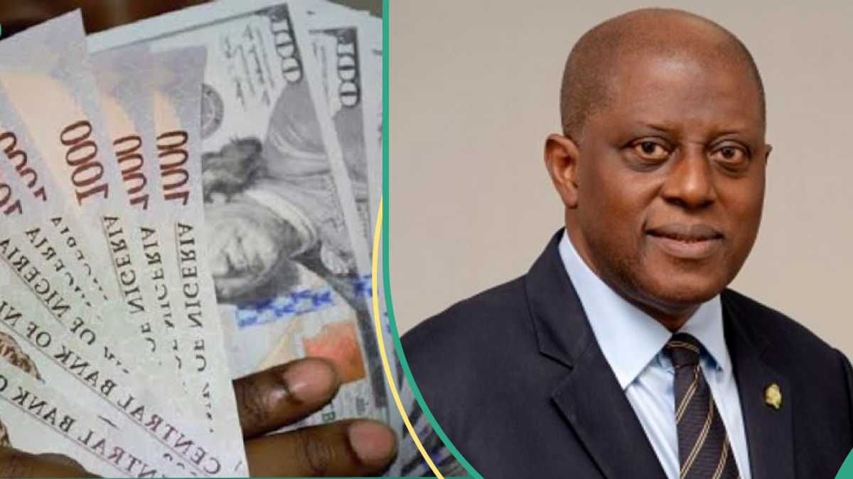 Report Identifies Two Factors That Will Stabilise Naira to Dollar as Analysts Project New Rate