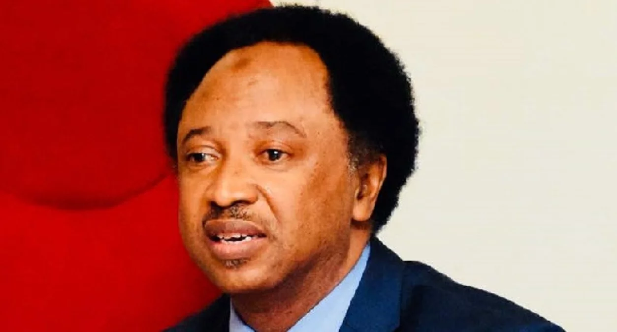 Rivers political crisis expensive for Fubara, Wike – Shehu Sani