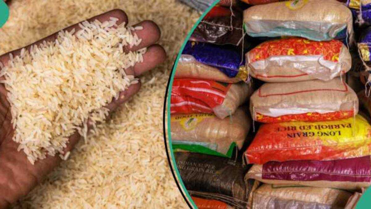 Sellers Quote New Price For Bag of Rice as Data Shows Cheapest And Most Expensive Brands