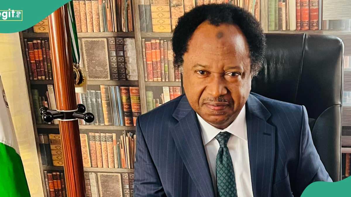 Shehu Sani Lists Top 6 Crises Left for God to Personally Resolve in Nigeria