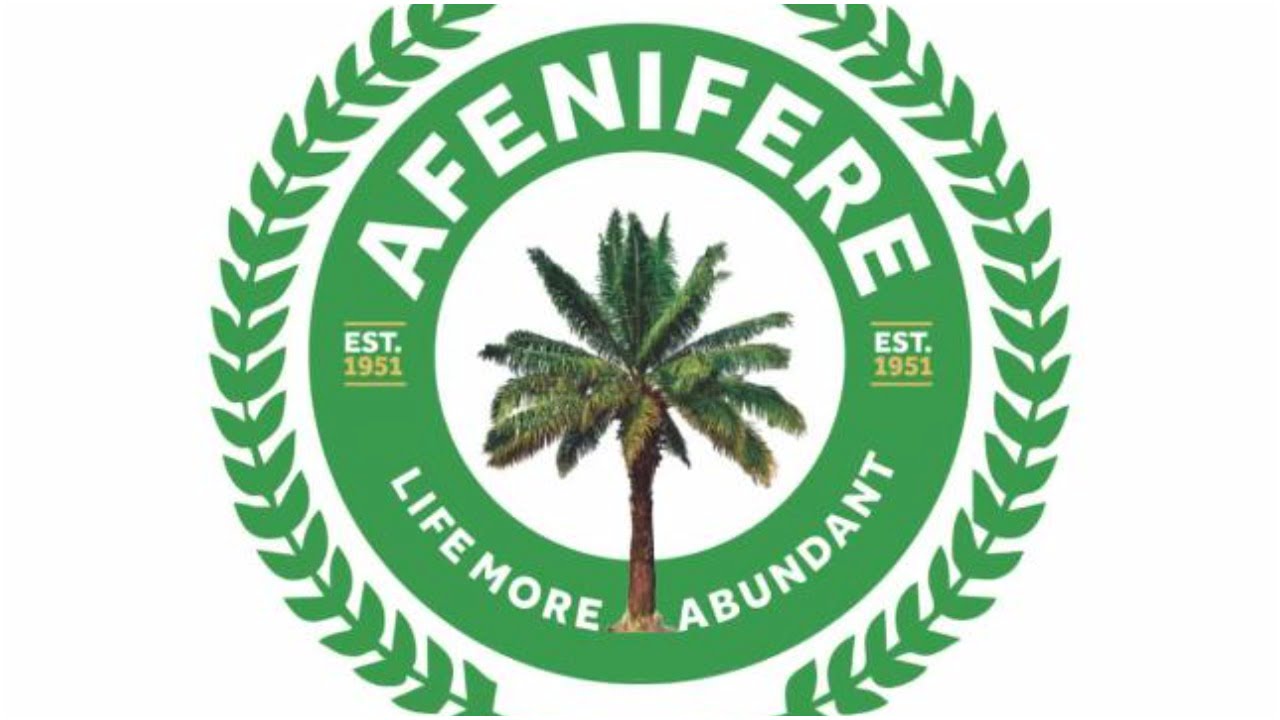 Skyrocketing energy price impacting security – Afenifere to Nigerian govt