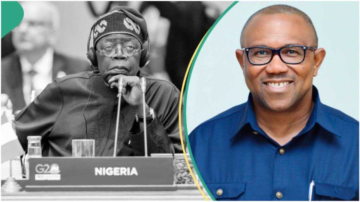 "Unfortunate and Insensitive": Peter Obi Tackles Tinubu on Fuel Price Hike