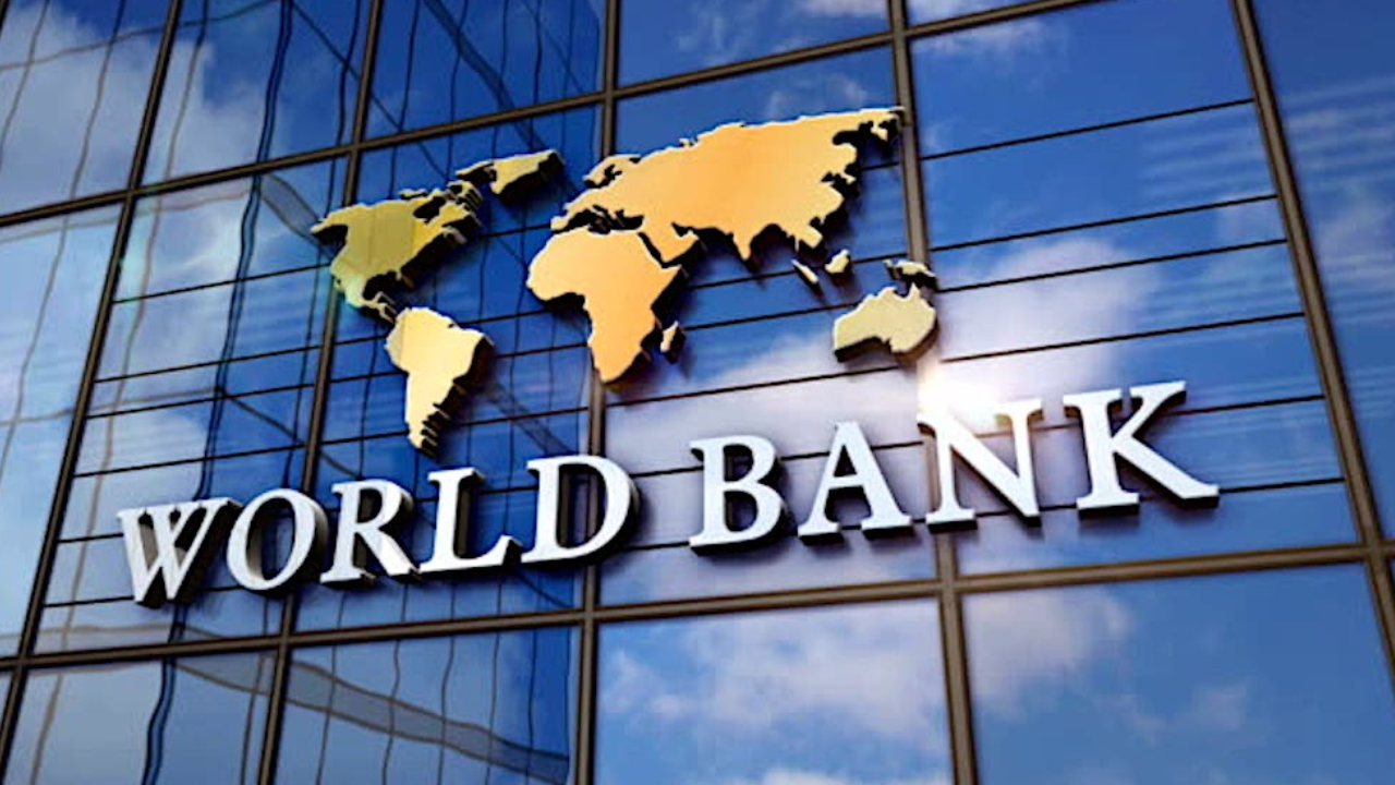 World Bank To Support Nigeria Turn Forests To Economic Hubs