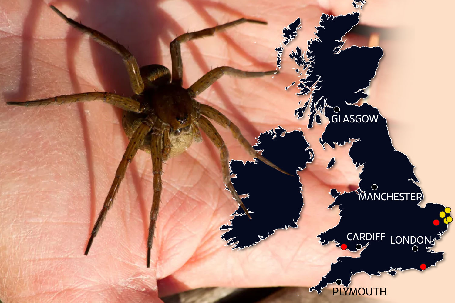 Thousands of fish-eating spiders as big as a human HAND are on the loose in Britain - as map reveals where colonies lurk