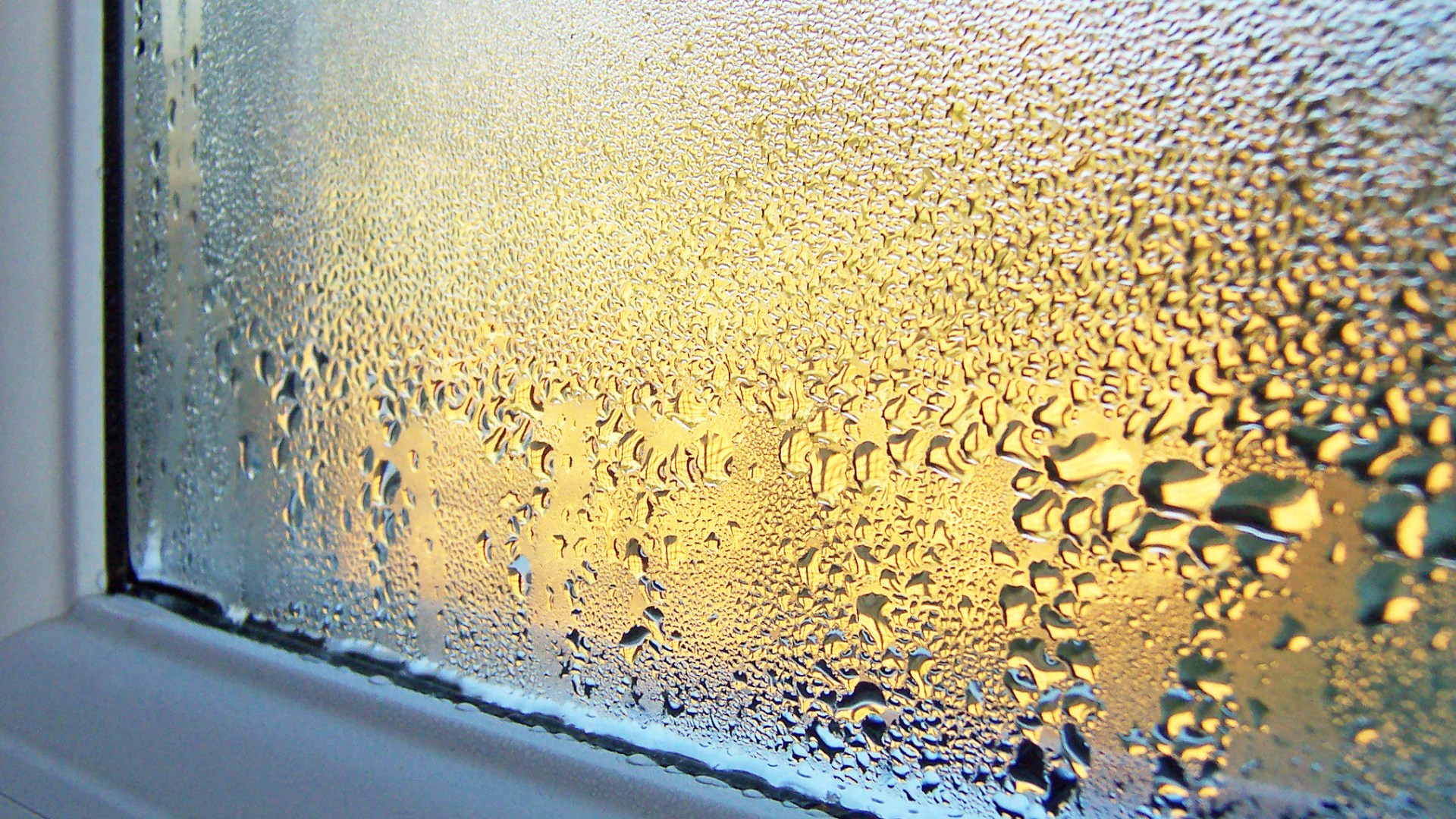 What causes condensation on windows and how do I prevent it?