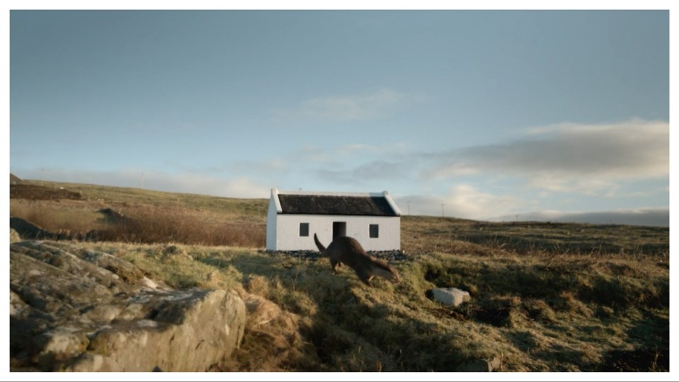 But then he built her a miniature cottage complete with wifi.