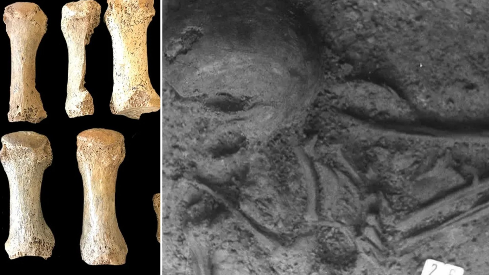 Secret behind strange skeleton made of bones from FIVE different people who lived 2,500 years apart is FINALLY revealed