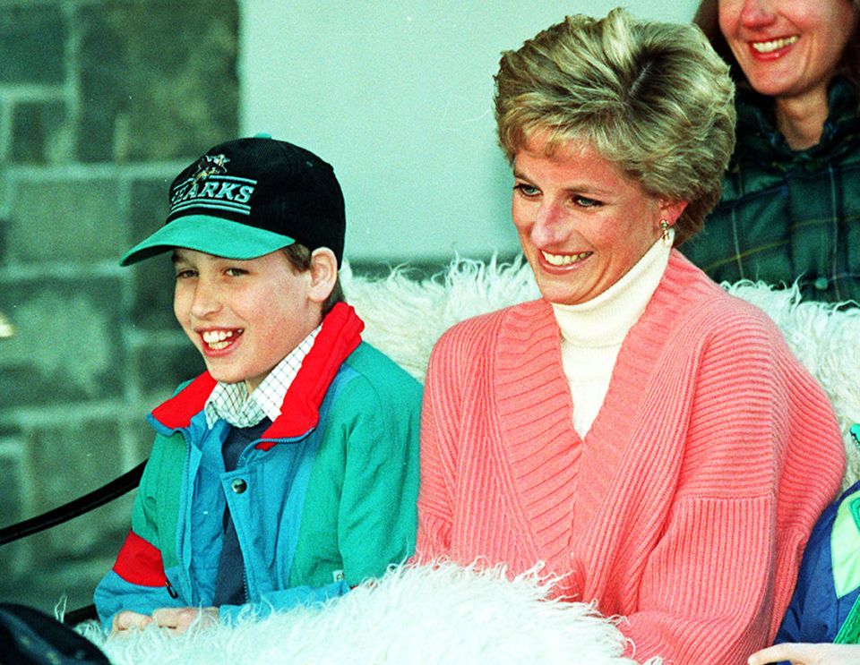 Prince William was compared to his mother Princess Diana after his £50m eco-prize giving