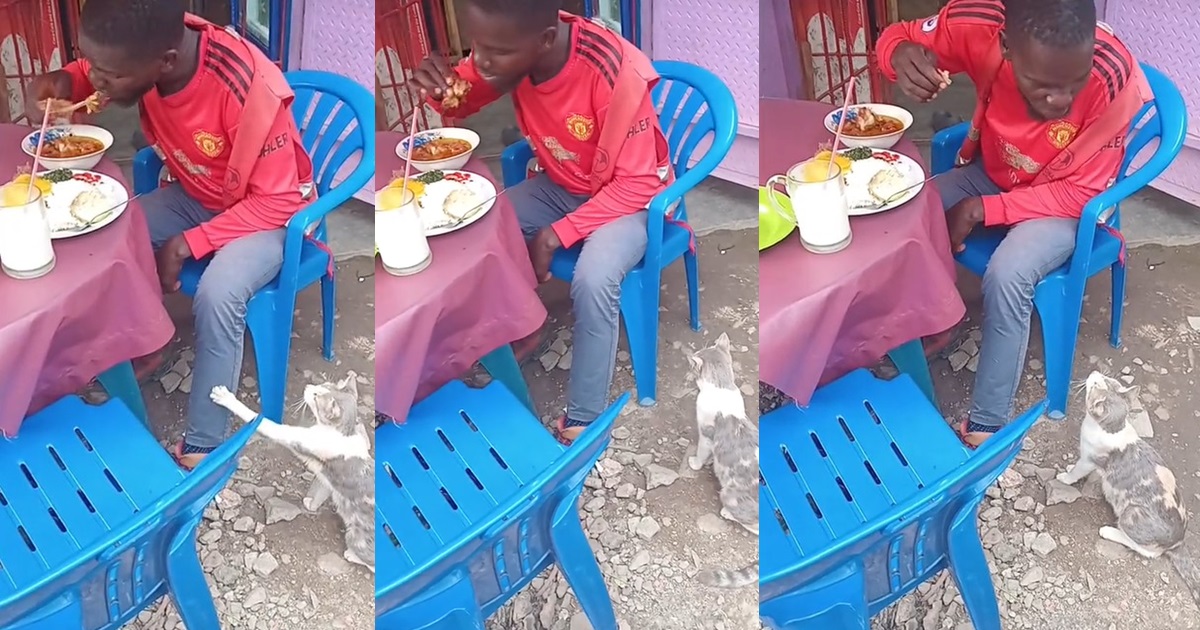 "Make the cat go hustle, country h@rd" – Man turns down begging cat, refuses to share his meal at a local restaurant (WATCH)