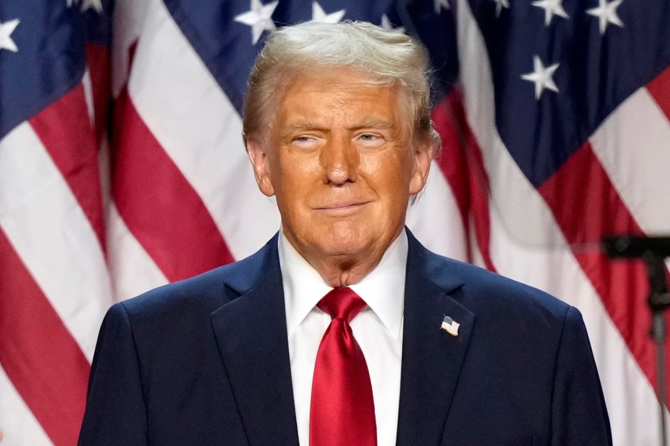 Now President-elect Donald Trump pictured at an election night watch party