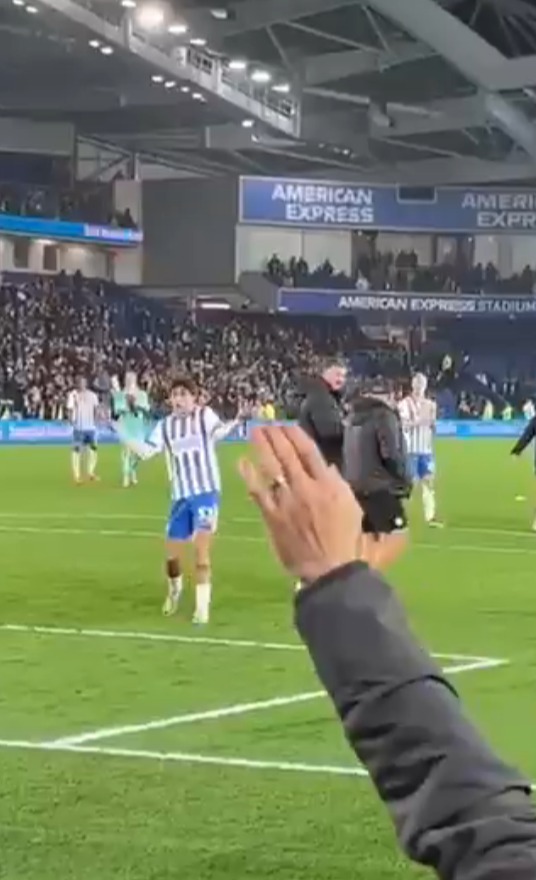 He appeared baffled when going to celebrate with the Brighton fans