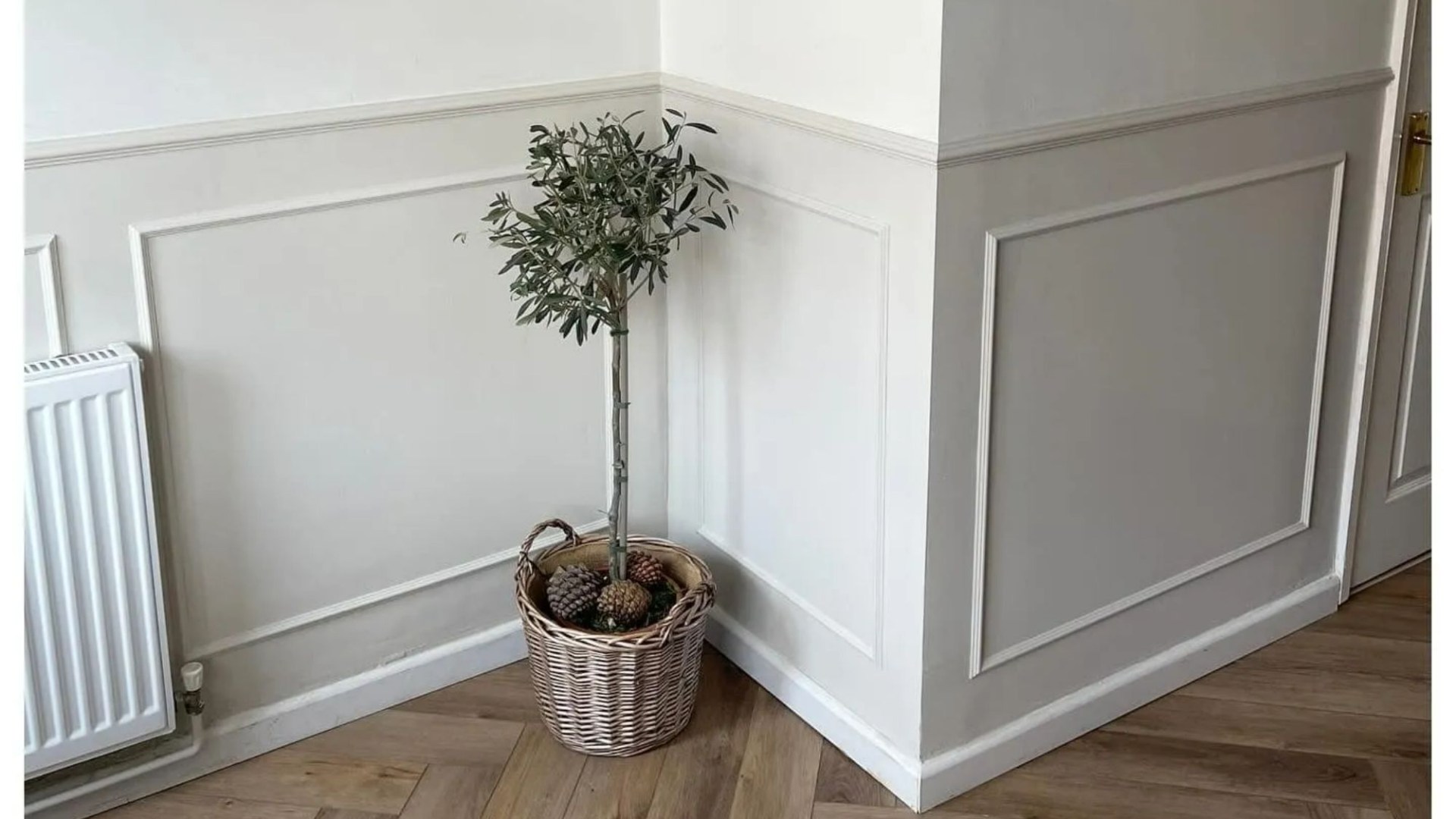 I used a cheap B&Q buy to transform my plain hallway with DIY panelling - it saved me thousands & I’m over the moon