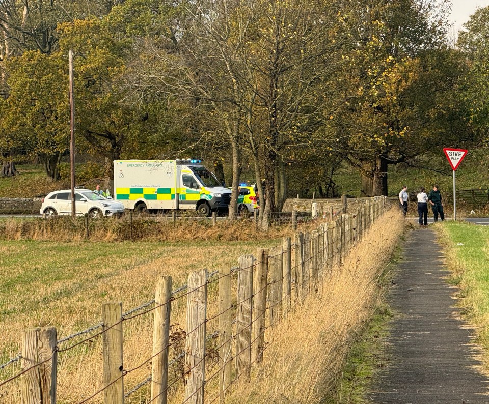 The crash happened Bellsdyke Road in Larbert