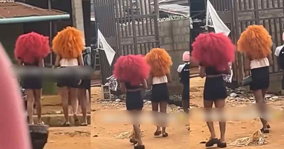 "Mufasa and Sc@r dey waka" – Ladies' rock lion 'mane' wig on the street, sp@rks laughter (WATCH)