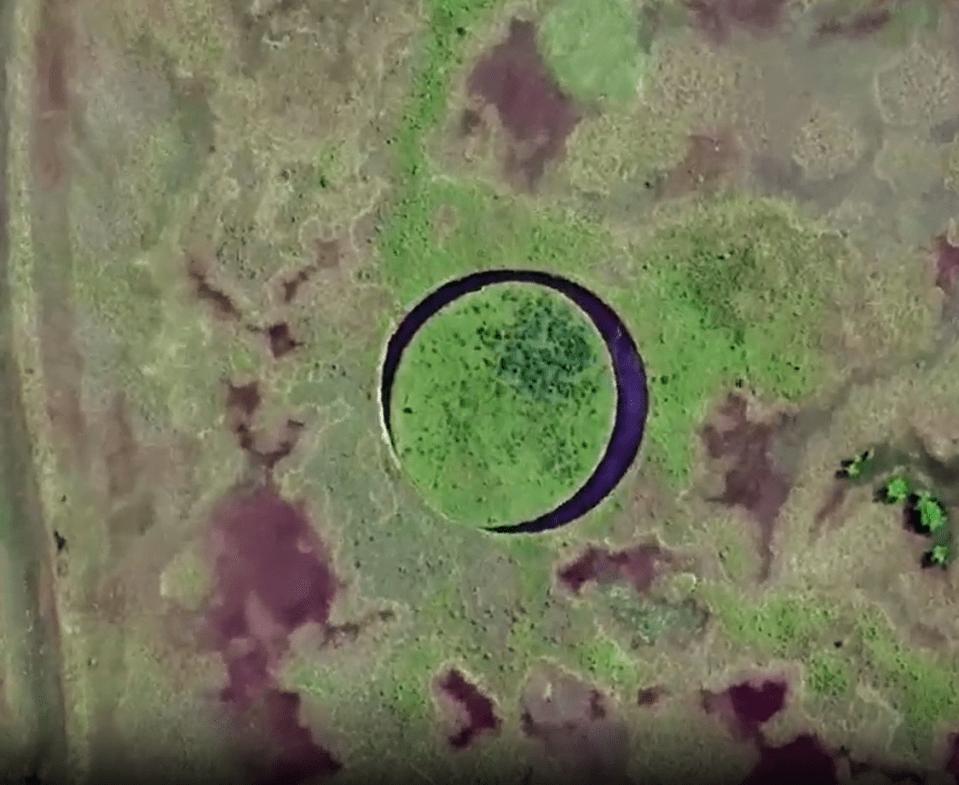 Known as 'The Eye' the uninhabited patch of overgrown vegetation floats around a crystal clear lake in Argentina slowly moving each day.