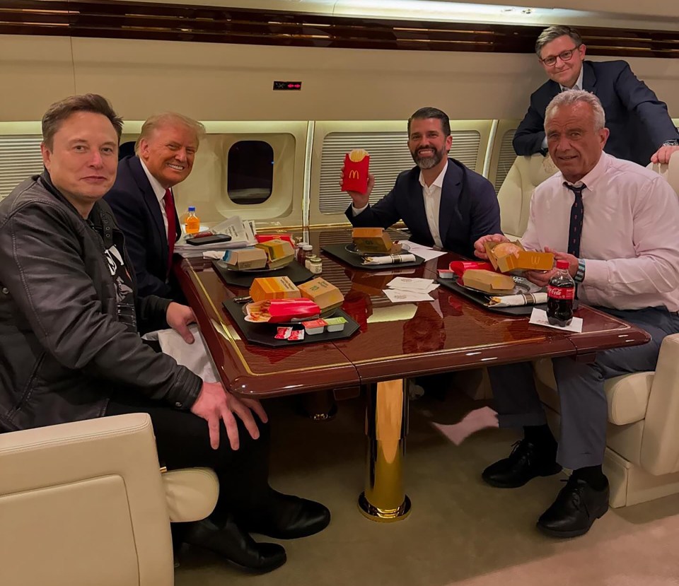 The pair were joined by Robert F. Kennedy Jr for a McDonald’s aboard the Trump's jet