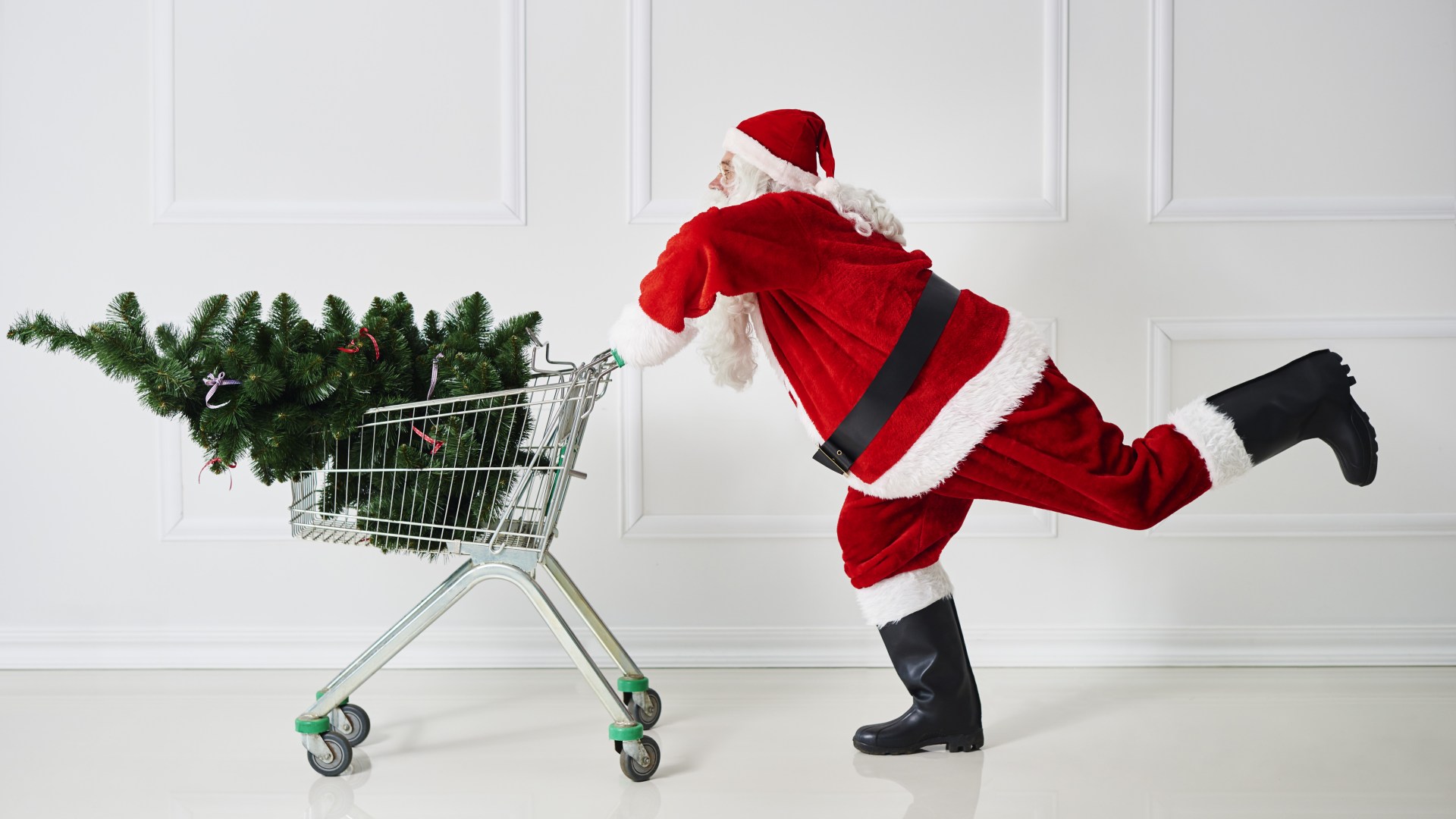 Five savvy ways to avoid needless expenses when buying your tree this Christmas