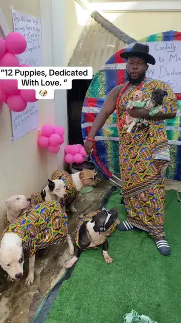 Man throws dedication ceremony for his 12 puppies in matching outfits