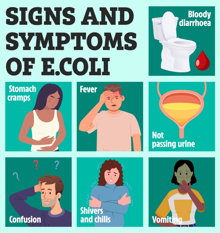 Symptoms of E.coli can include vomiting, fever, and chills