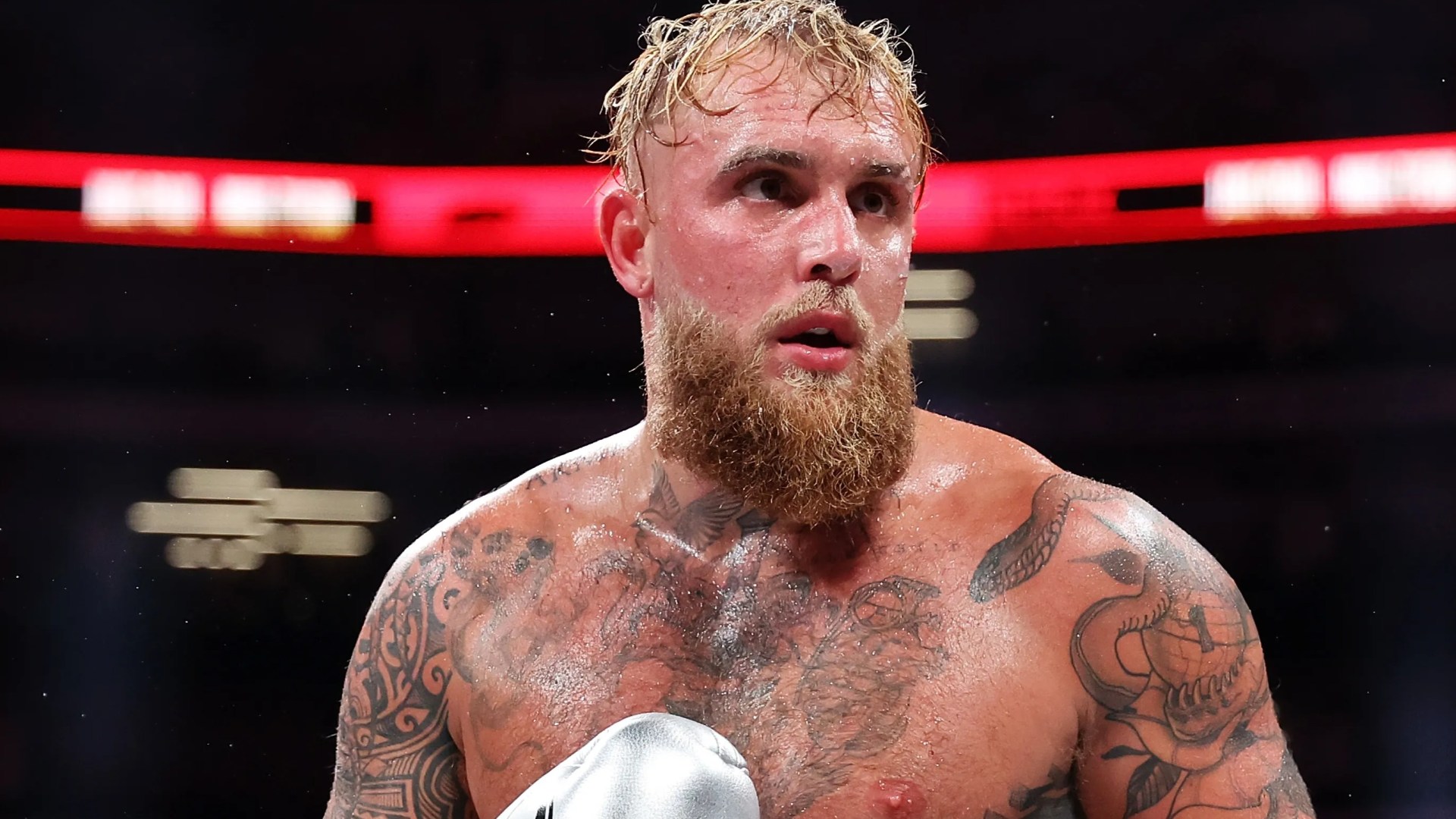 Jake Paul offered world title fight by undefeated P4P boxing superstar who asks 'so what are we gonna do?'