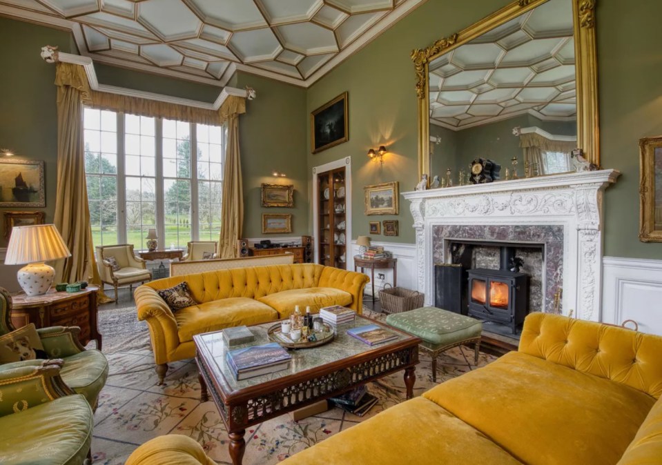 The lavish property boasts a stunning living room and gardens