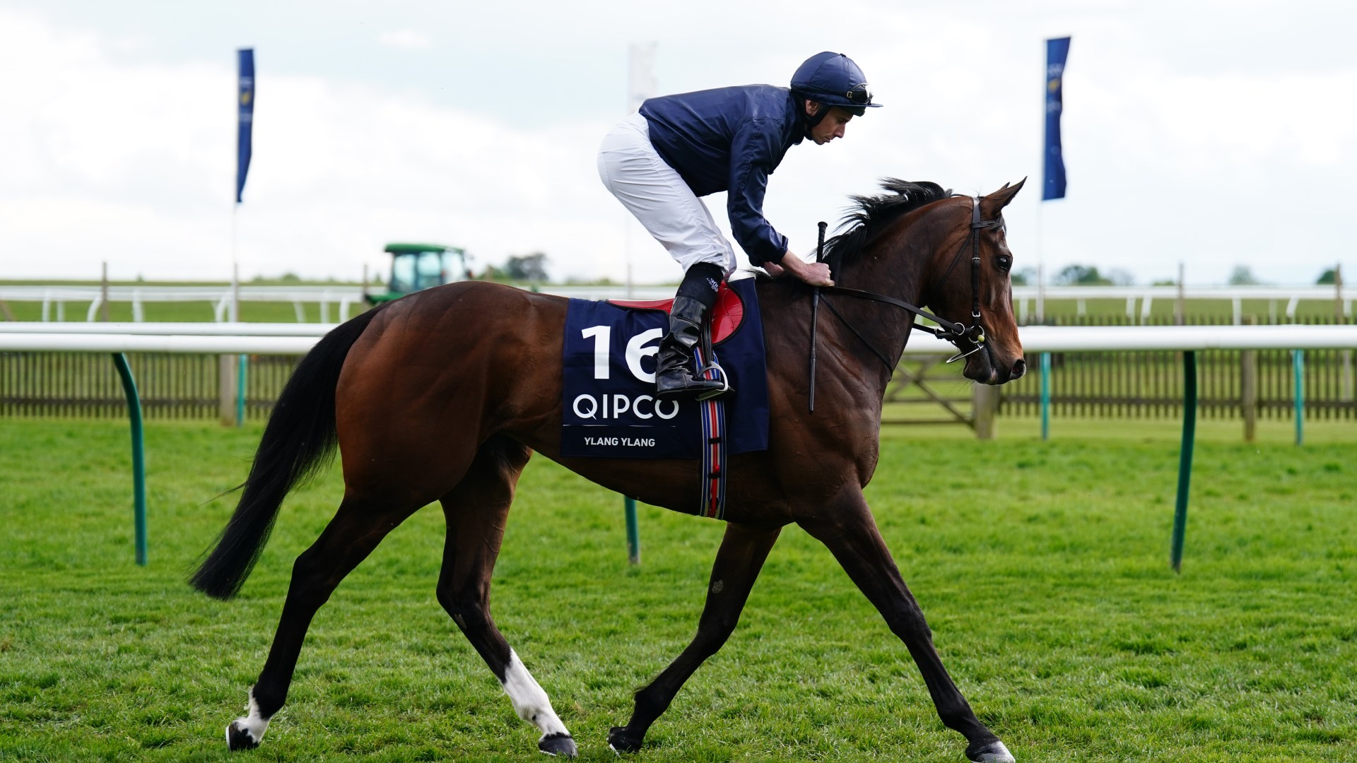 'What absolute rubbish' - punters outraged as City Of Troy crowned Cartier's Horse Of The Year at fancy Mayfair awards