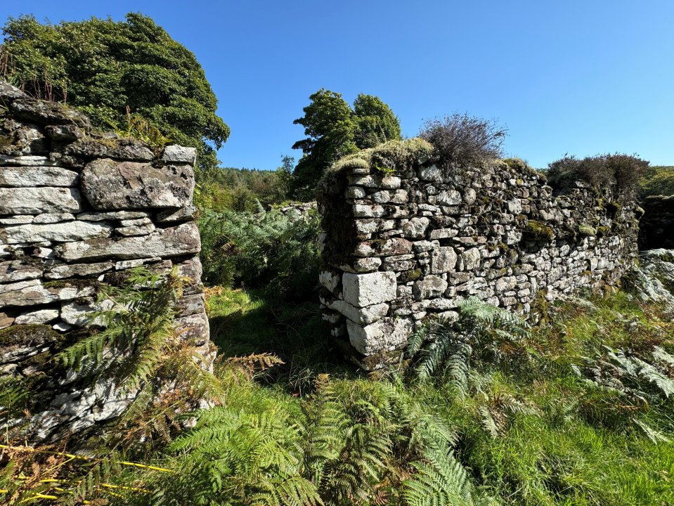 It also contains the ruins of an old shepherd's cottage