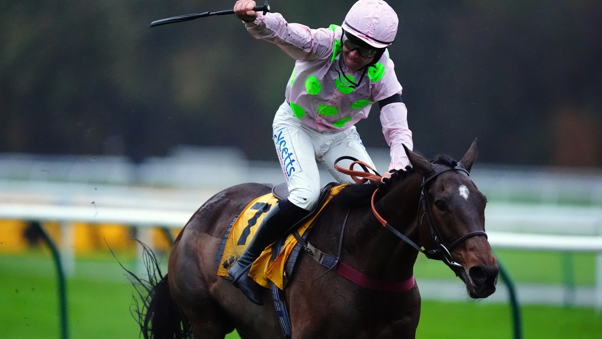 Royale Pagaille wins the Betfair Chase again as final fence blunder costs Grey Dawning