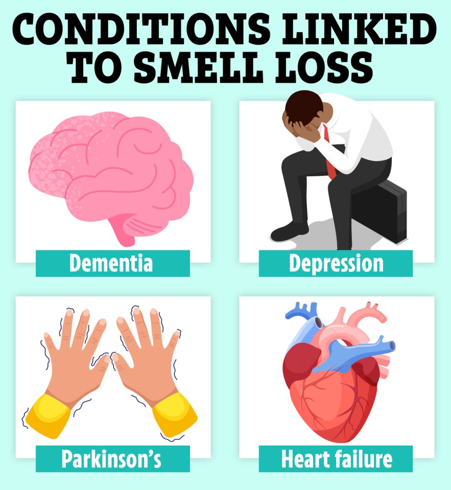 Smell loss could be an early sign of dementia or Parkinson's