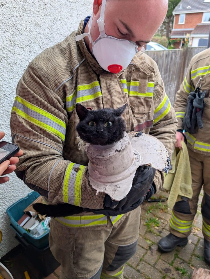 The fire crew then used small tools to cut the moggie out