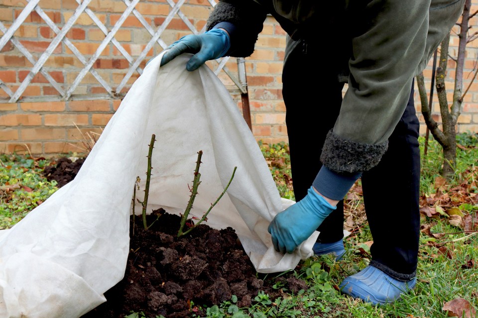 Covering up flowerbeds is just one of the jobs to tick off