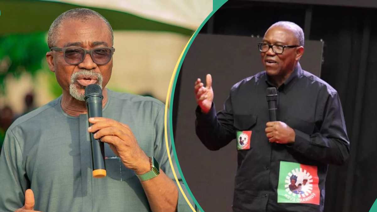 What Would Have Happened Had Peter Obi Won 2023 Election, Abaribe Explains