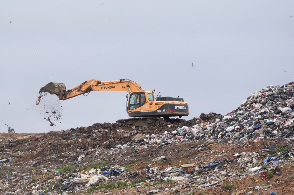 Police officers are searching a landfill site in Essex for Cumali's body