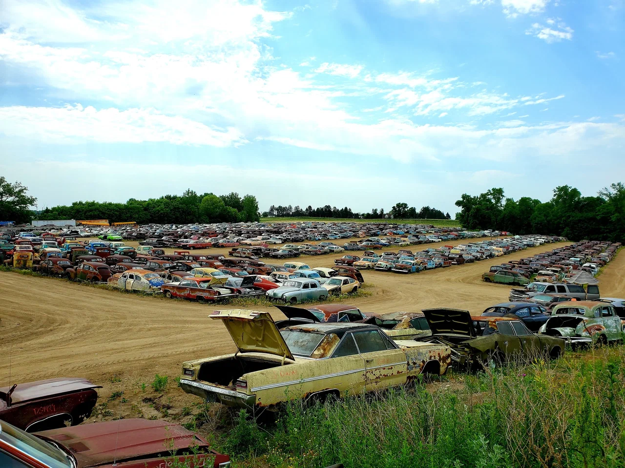 Explore incredible junkyard boasting hundreds of iconic cars - with sought-after Cadillacs & 100-year-old icons