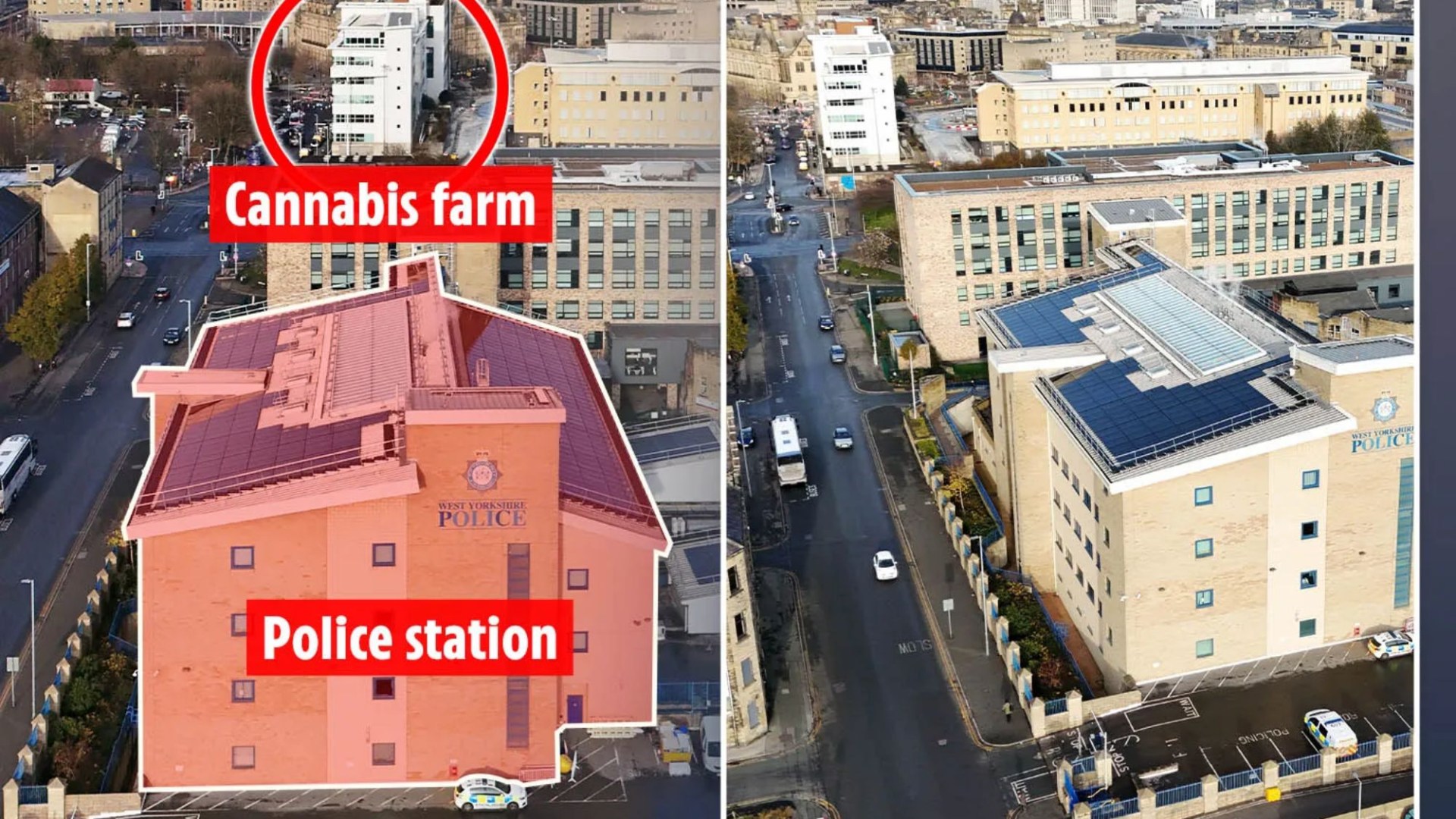 Gang set up cannabis farm with £9million worth of plants right under the noses of police