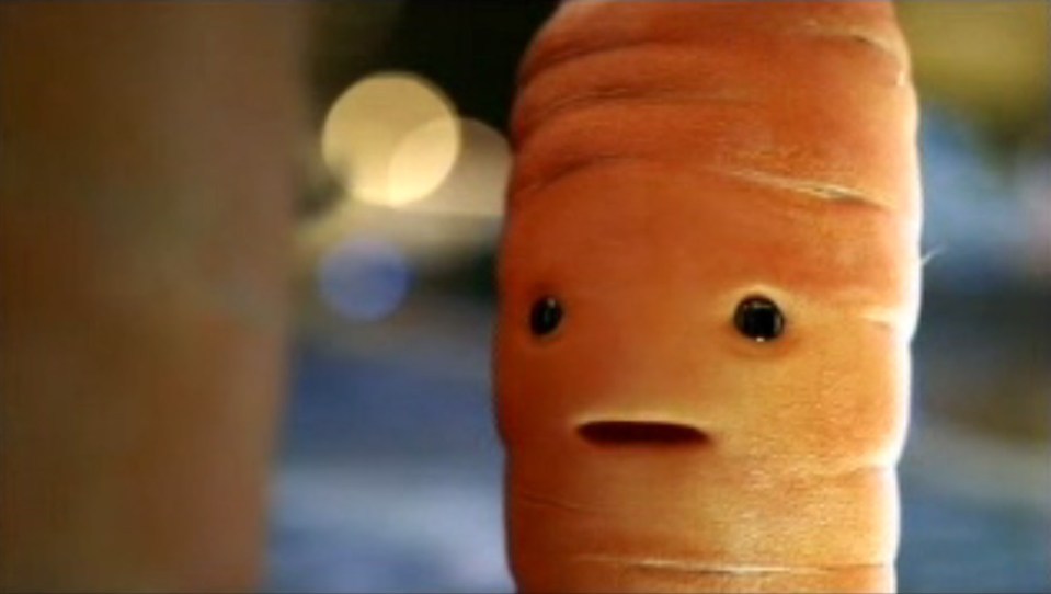 Kevin the Carrot is usually the star of the Aldi Christmas advert