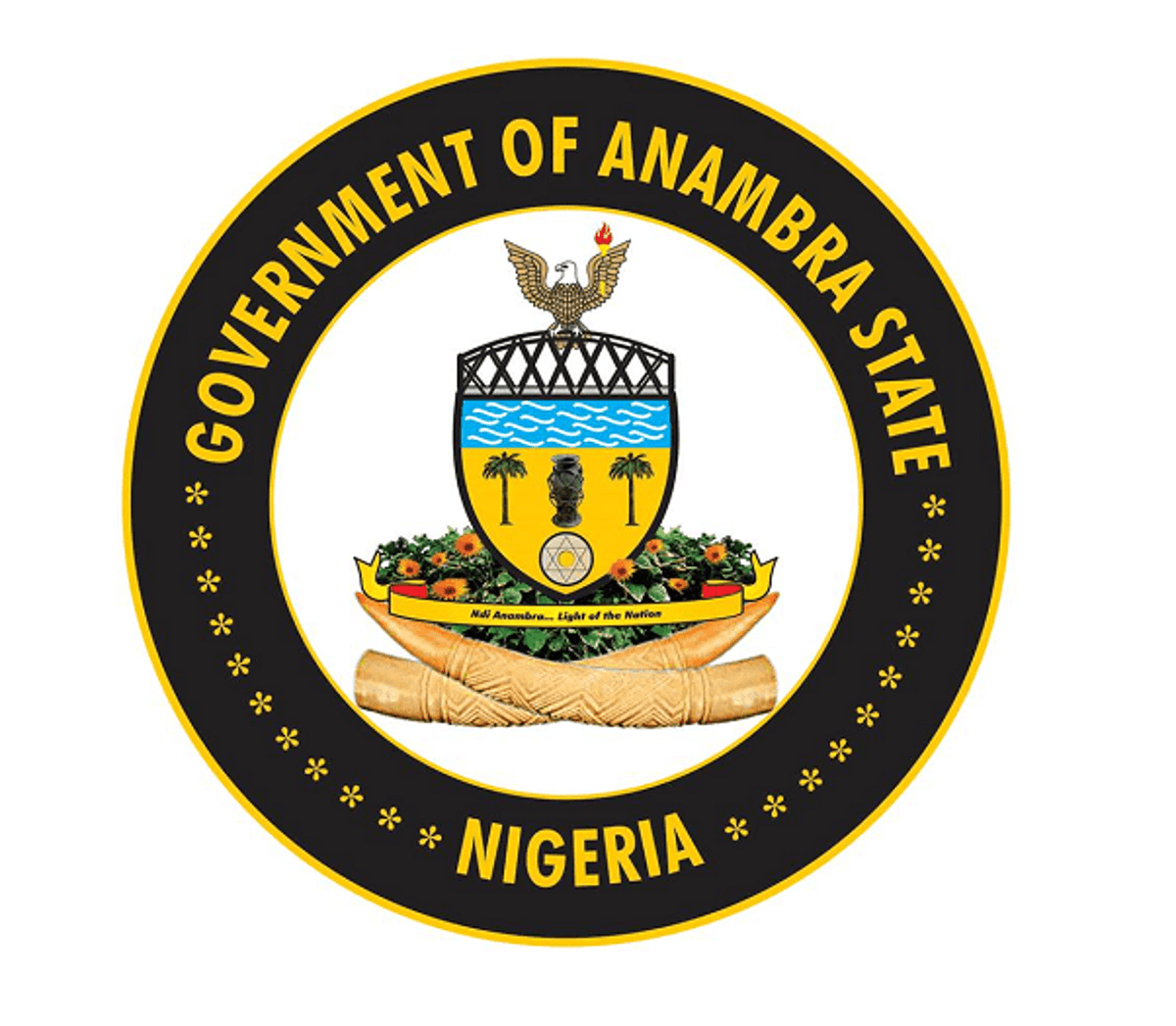 Anambra govt takes action following LG Chairma’s arrest by FBI over $3.3m romance scam