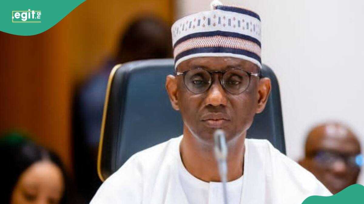 Buhari’s Minister Sends Message to Ribadu as Tinubu’s Govt Charges Minors With Treason