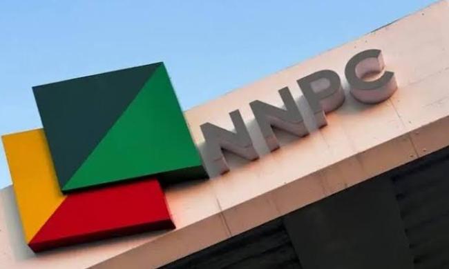 Energy group condemns high importation of fuel, amidst NNPCL