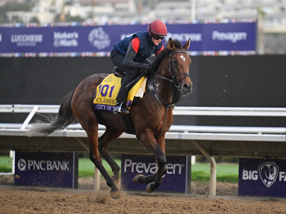 Aidan O'Brien is desperate for his first win in the Breeders' Cup Classic