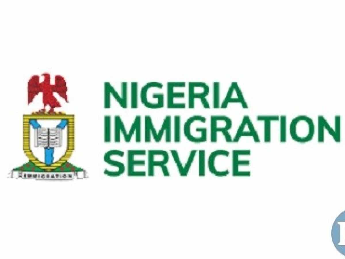 Immigration raises alarm over high number of irregular migration in Nigeria