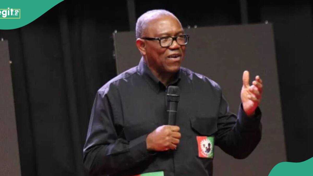 "It's Our Turn, He's a Yoruba man": Peter Obi Under Fire for Making Controversial Comment